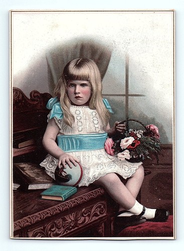 Victorian trade card 1800s - victorian, van