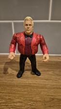 bobby the brain heenan wwf