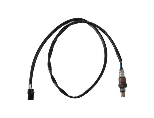 Oxygen sensor triumph - oxygen,