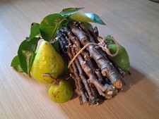 English Pear wood Sticks