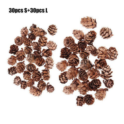 60pcs small pine cones - 30/60pcs,