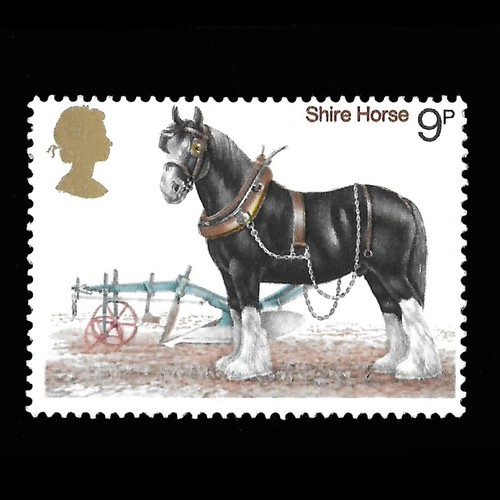 Animals horses qeii 9p - animals,