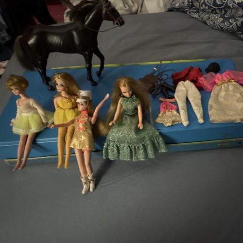 Pippa dawn dolls - dolls, with