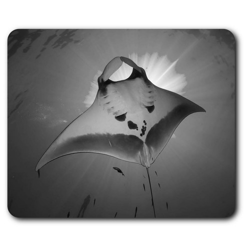 Rectangle mouse mat - rectangle,