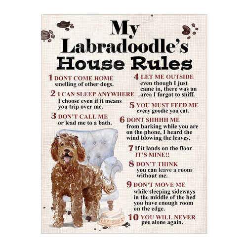 Labradoodle house rules - , my