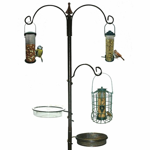 New traditional bird feeding - traditional,