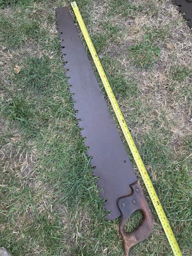 Vintage logging saw - logging,