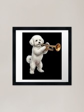 Bichon Frise Playing Trumpet
