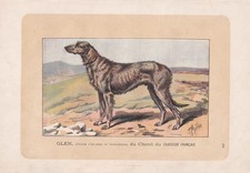 1896 IRISH WOLFHOUND DOG Print - Dog Wall Art Gift - Animal Lover - 10 x 7 Inch