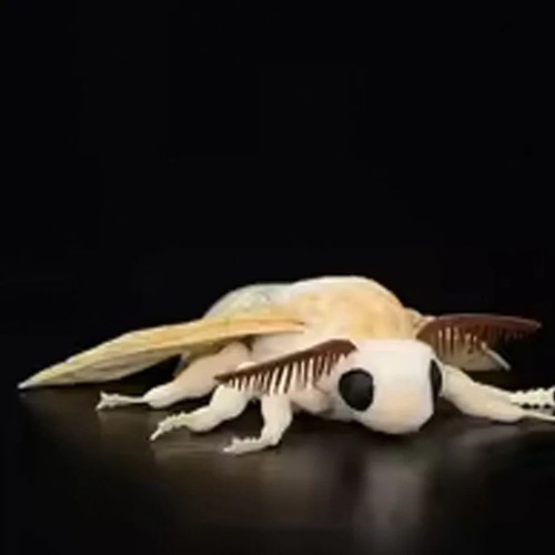 Soft silkworm moth plush toy - soft,