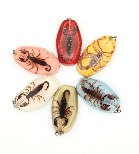 Real scorpion resin keyring - real,