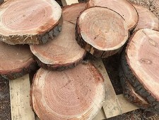 4 Rustic Damaged Log Slices In Random Sizes 10" - 18" table centrepiece, garden 