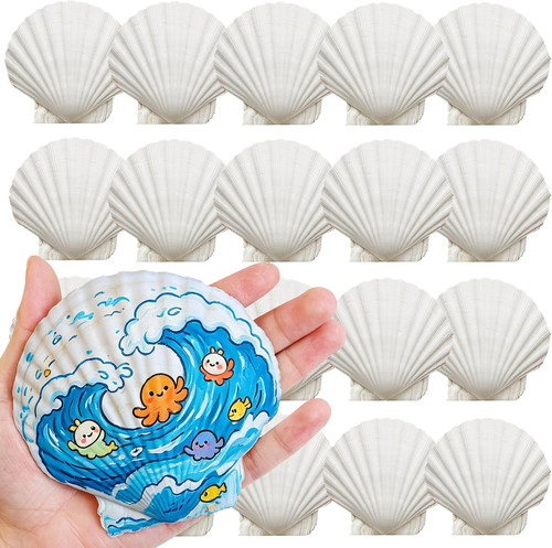 Pcs large scallop - pcs,