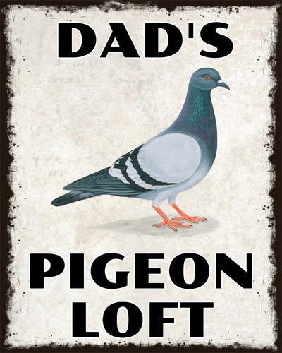 Dad pigeon loft or - dad's, (or