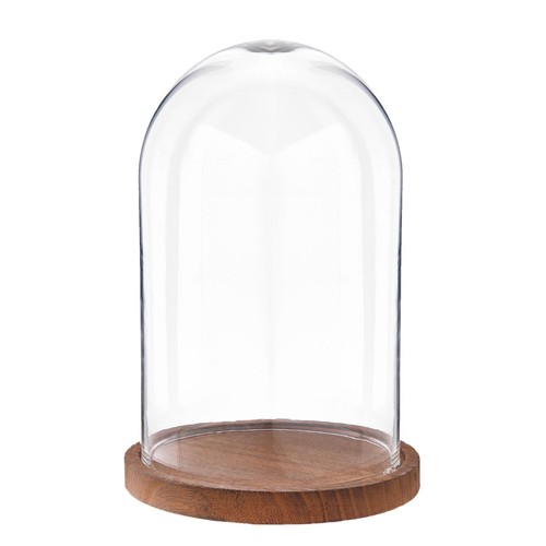 25cm glass display bell - bell, jar