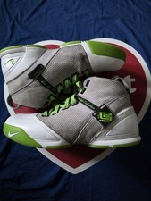Nike Zoom LeBron 5 Dunkman