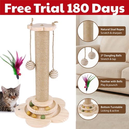 Large tall cat scratching post - cat,