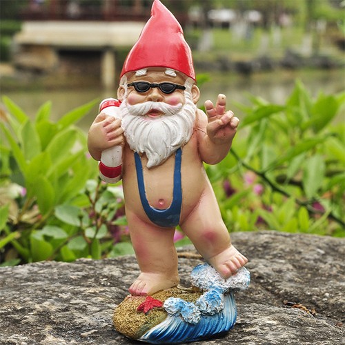 Funny naughty garden gnome - funny,
