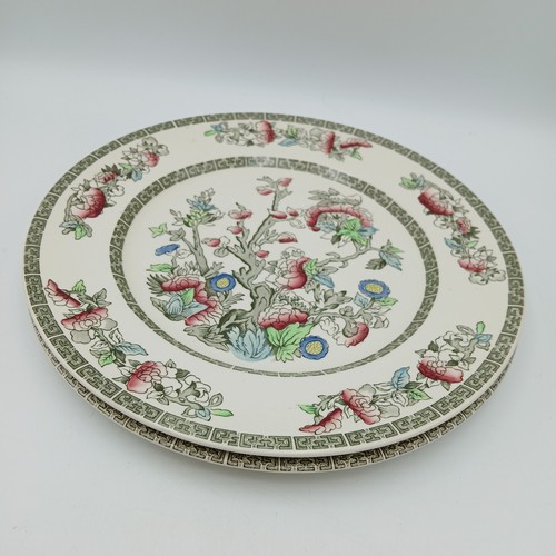 Johnson bros indian tree - bros,
