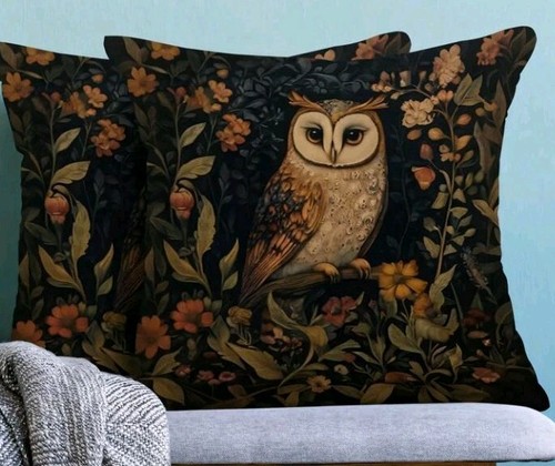 Beautiful owl woodland - beautiful,