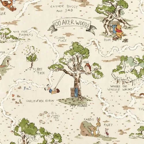 Sanderson disney home - disney, x