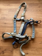 Monty Roberts Dually Training