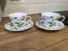 Country Meadow 2 teacups and