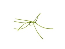 6 x Apps Bloodworm - Green