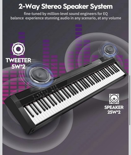 Strich piano keys weighted - piano, 88