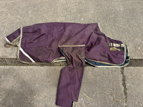 Foal horseware ireland - horseware,