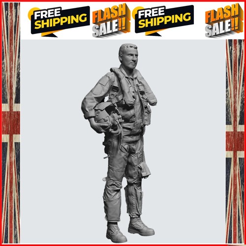Air force pilot resin - 1/32, pilot,
