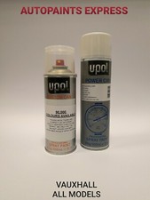 AEROSOL SPRAY CAN PAINT MIXED