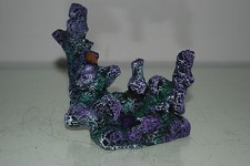 Stunning Medium Aquarium Coral