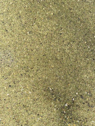 20kg special green - special,