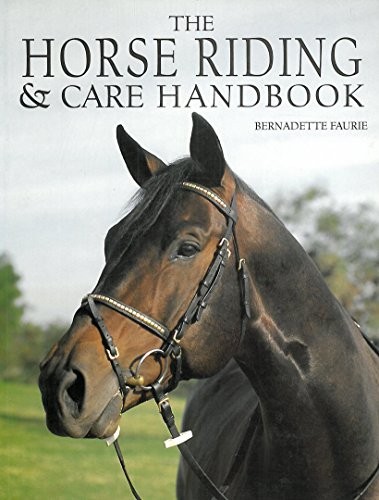 Horse riding care - riding,