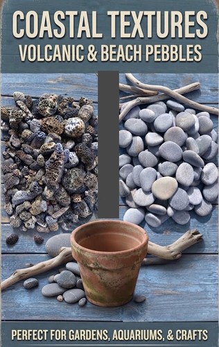 Natural beach - natural,