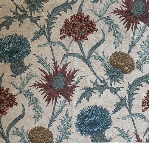 25m iliv acanthium thistle - 1.25m,