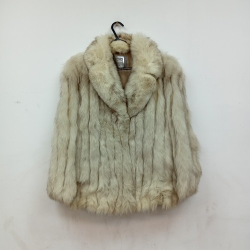 Real blue fox - real,