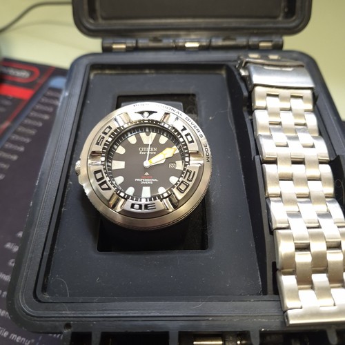 Citizen promaster professional - citizen,
