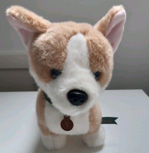 Harrods welsh corgi - harrods, dog