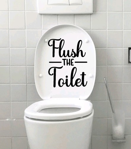 Flush the toilet - bathroom, home