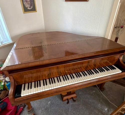 Beautiful baby grand piano - baby,