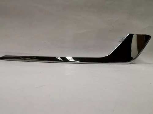 Front grill trim - front, molding