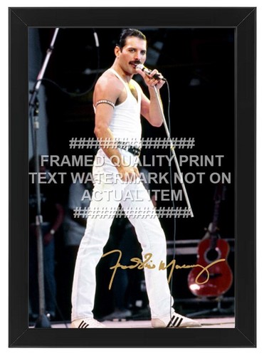 Freddie mercury signed photo - freddie,