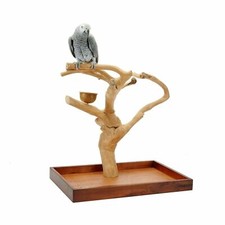 Java Tree Hardwood Mini Tree Conure, African Grey, Parrot Table Top Play Stand.