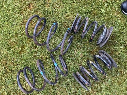 Alpina e46 oem springs - 3.3,