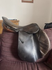 Old Stubben 18” Jumping