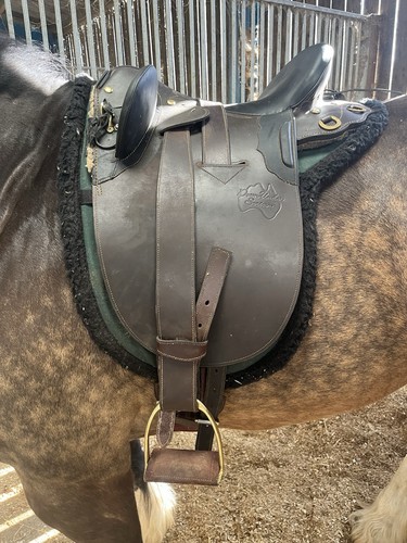 Down under stock saddle - down,