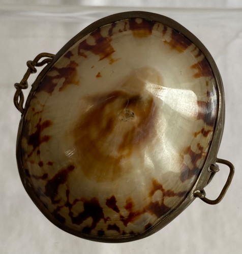 Limpet shell thimble holder - thimble,