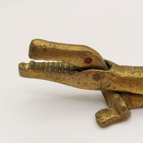 Crocodile alligator - crocodile, or
